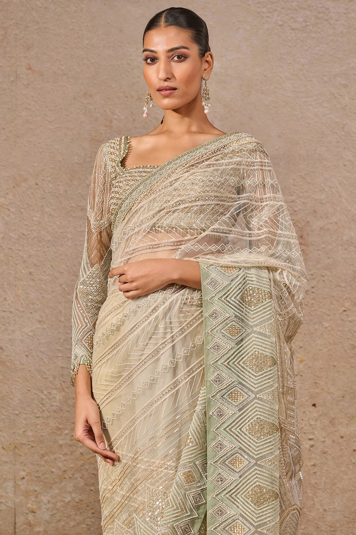 Hand Embroidered Resham & Sequin Saree