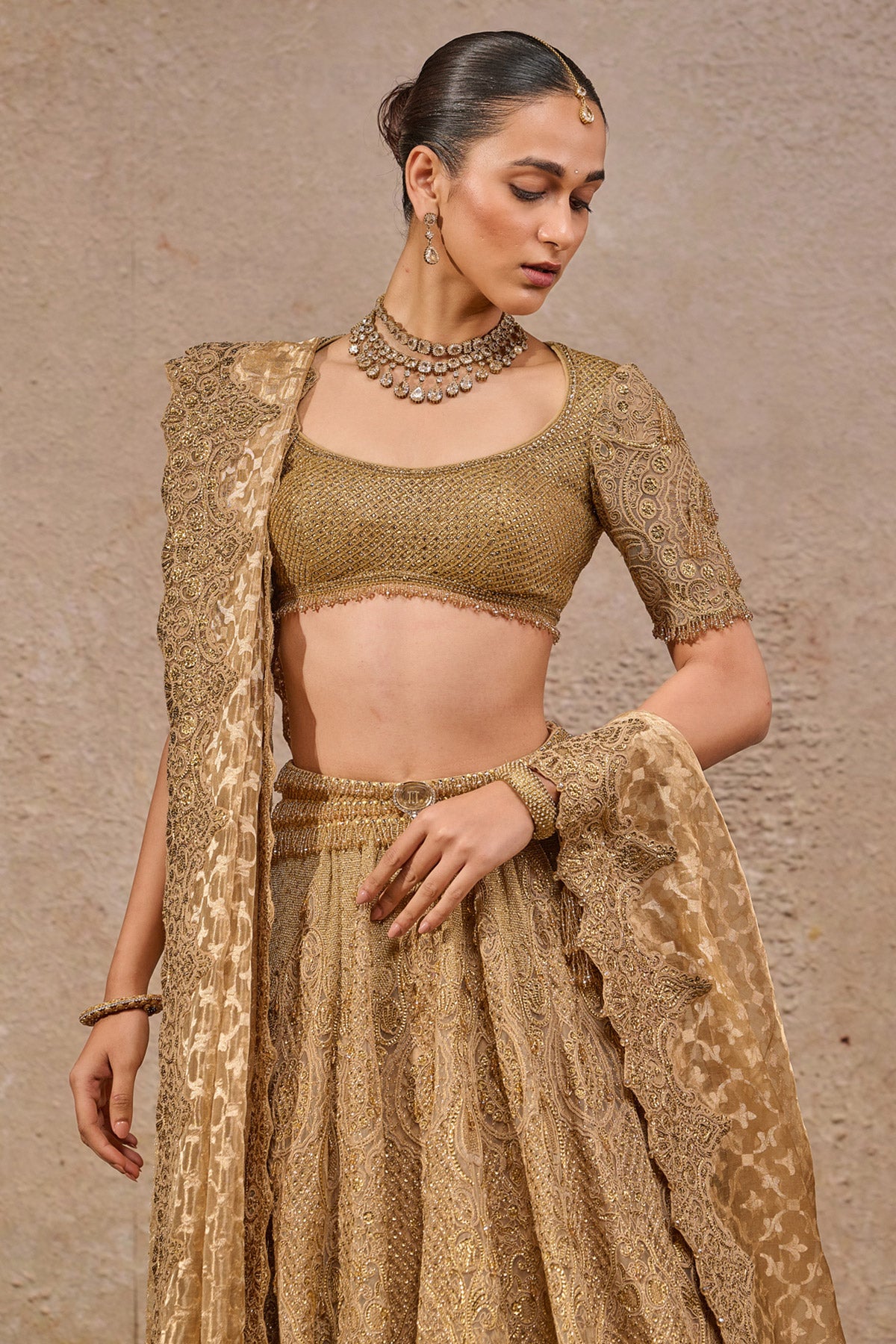 Resham Embroidered Lehenga