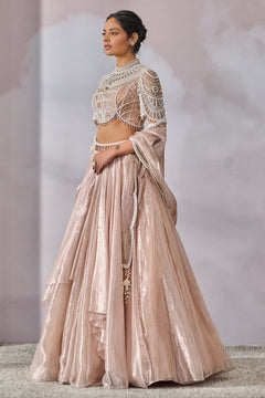 Blouse-Drape-Lehenga