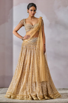 Blouse-Drape-Lehenga