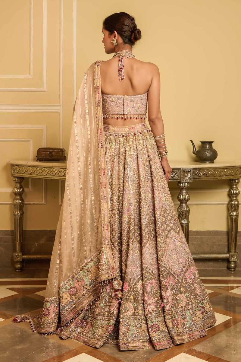 Embroidered lehenga, blouse. dupatta & veil