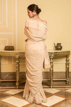 Concept saree with blouse