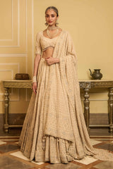 Chikankari lehenga, blouse, and dupatta