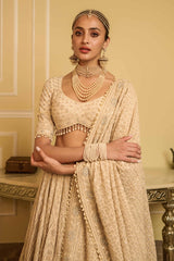 Chikankari lehenga, blouse, and dupatta