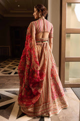 Embroidered lehenga, blouse, and dupatta