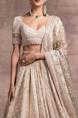 Pichwai Printed And Embroidered Lehenga