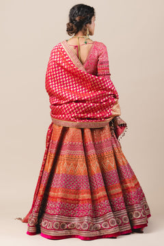 Panelled Lehenga With Zardozi Embroidery