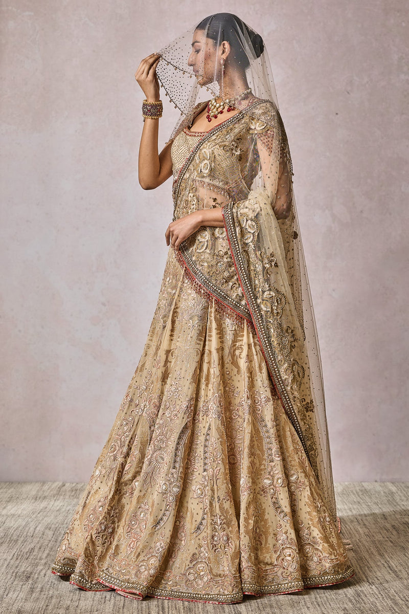 Blouse-Lehenga-Veil-Wings