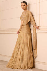 Draped Lehenga and Blouse