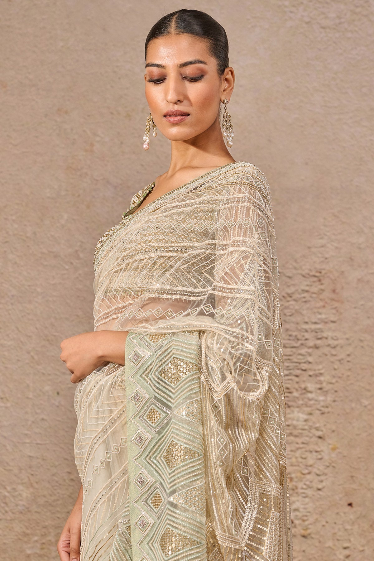 Hand Embroidered Resham & Sequin Saree