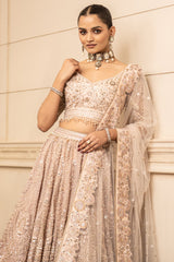 Embroidered Lehenga, Blouse, And Dupatta