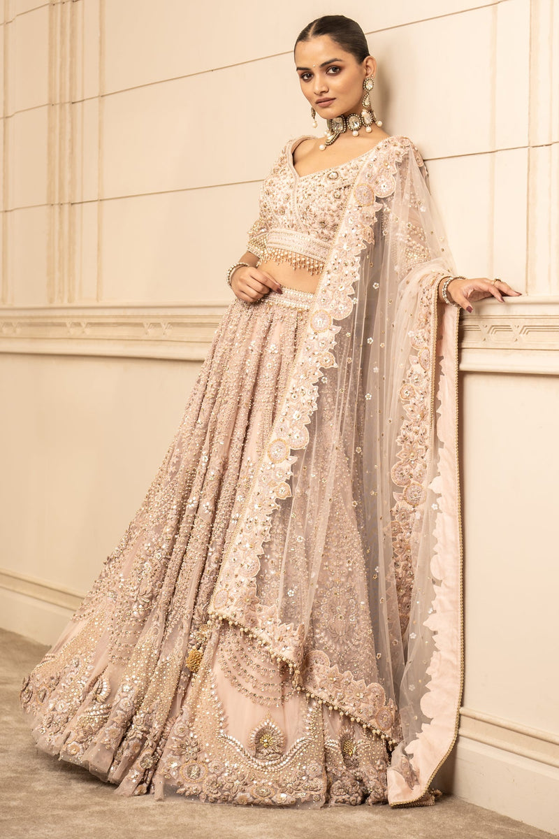 Embroidered Lehenga, Blouse, And Dupatta