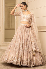 Embroidered Lehenga, Blouse, And Dupatta