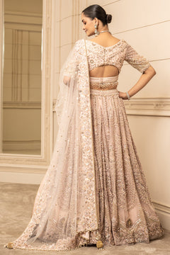 Embroidered Lehenga, Blouse, And Dupatta