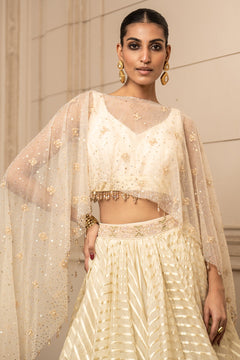 Cascade Lehenga, Blouse, and Cape