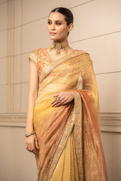 Tissue Saree and Blouse