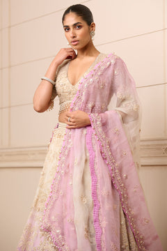 Lehenga, Blouse, and Dupatta