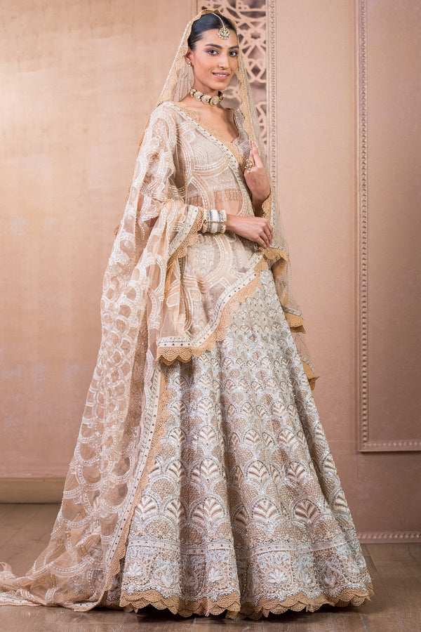 Lehenga, Blouse, Dupatta, and Veil