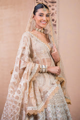 Lehenga, Blouse, Dupatta, and Veil