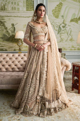 Embroidered lehenga, blouse, and dupatta