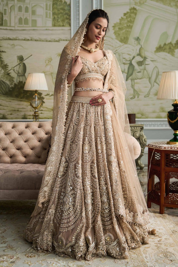 Embroidered lehenga, blouse, and dupatta