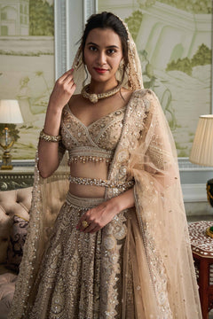 Embroidered lehenga, blouse, and dupatta