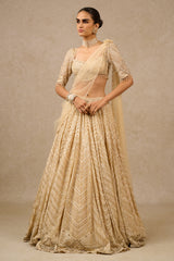 Lehenga-Blouse-Drape