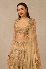 BLOUSE-DRAPE-LEHENGA