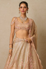 Lehenga, Blouse, Dupatta, Veil