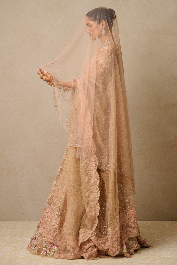 Lehenga, Blouse, Dupatta, Veil