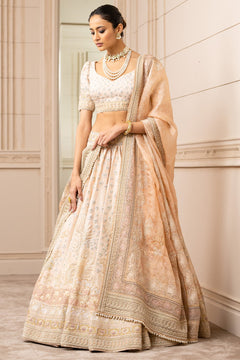 Pichwai Printed And Embroidered Lehenga