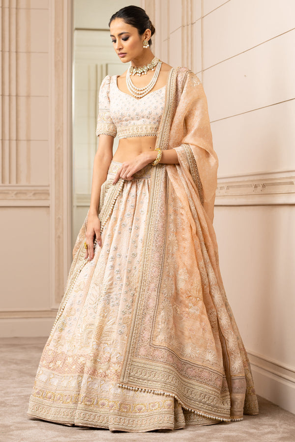 Pichwai Printed And Embroidered Lehenga