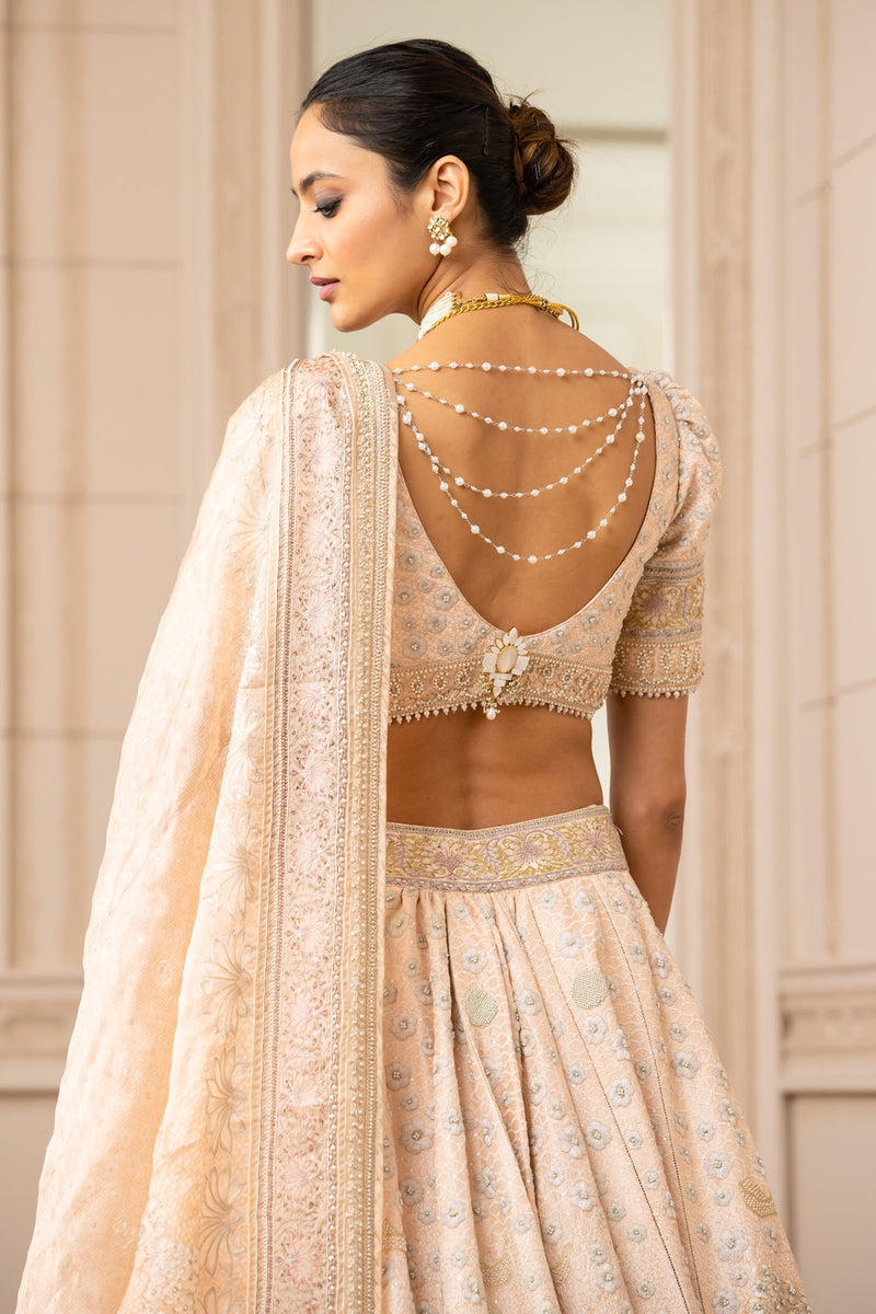 Pichwai Printed And Embroidered Lehenga