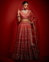 Panelled Lehenga with Zardozi Embroidery