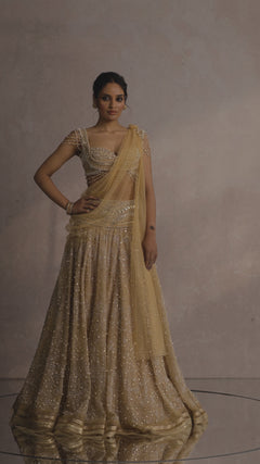 Blouse-Drape-Lehenga