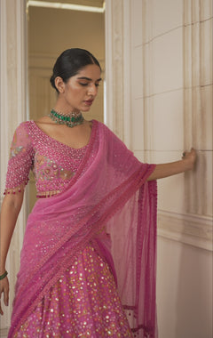 Lehenga-saree with blouse and tulle drape