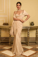 Concept saree with blouse