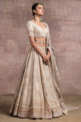 Pichwai Printed And Embroidered Lehenga