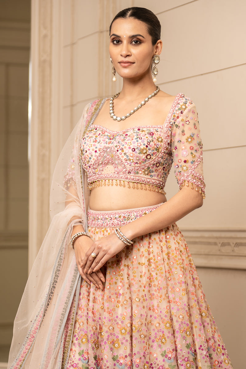 Embroidered Lehenga and Blouse with Tulle Dupatta