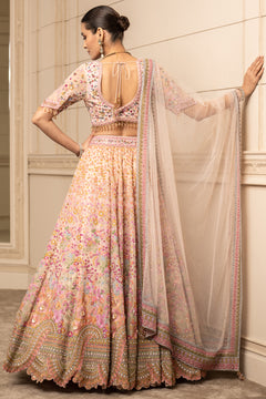 Embroidered Lehenga and Blouse with Tulle Dupatta