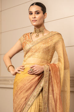 Tissue Saree and Blouse