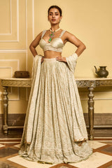 Chikankari lehenga, bustier, and dupatta