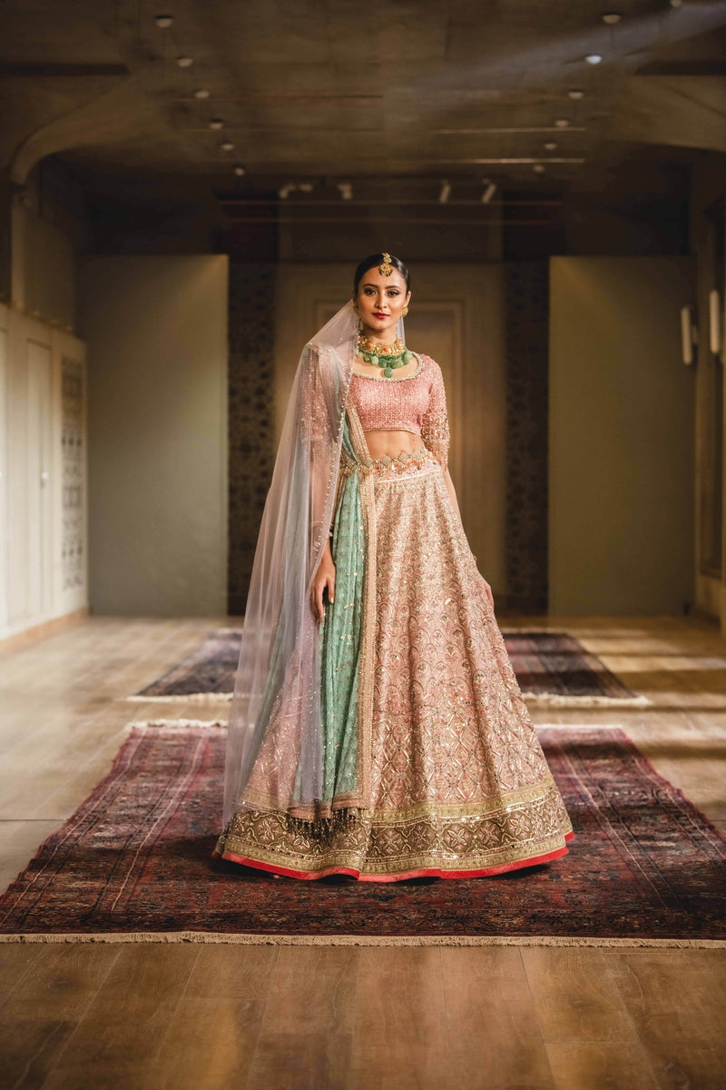 Buy SABYASACHI Green Velvet Lehenga Choli, V Neck Blouse, Peacock Green  WEDDING Lehenga Choli With Dupatta PLUS Size Lehenga Choli Online in India  - Etsy