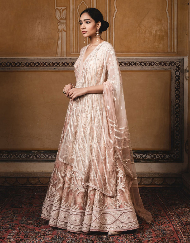 Anarkali In Tulle Featuring Resham Embroidered Panels
